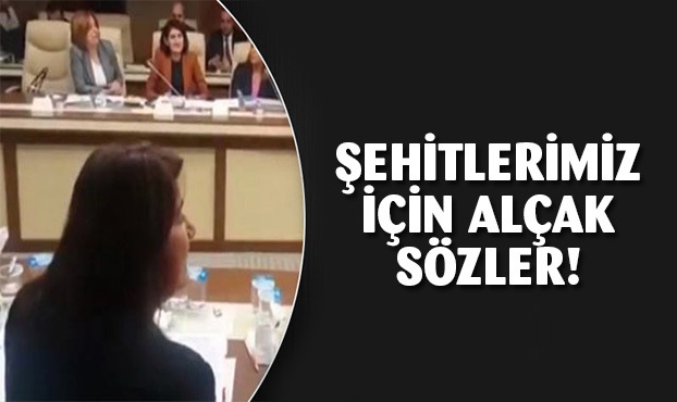 Son olarak HDP'li Serpil Kemalbay, şehitlerimiz için alçakça ifadeler kullandı. ile ilgili görsel sonucu